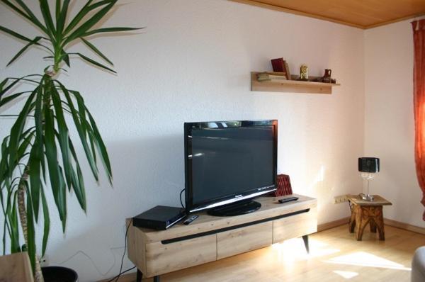 Ferienwohnung Traudi´s Hüsing Born Exterior foto